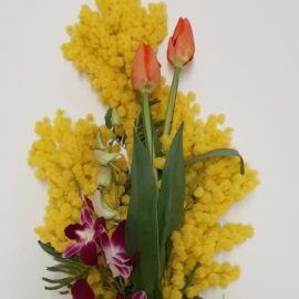 MAZZO DI MIMOSA CON TULIPANI