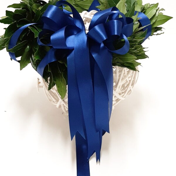 CORONCINA DI LAUREA